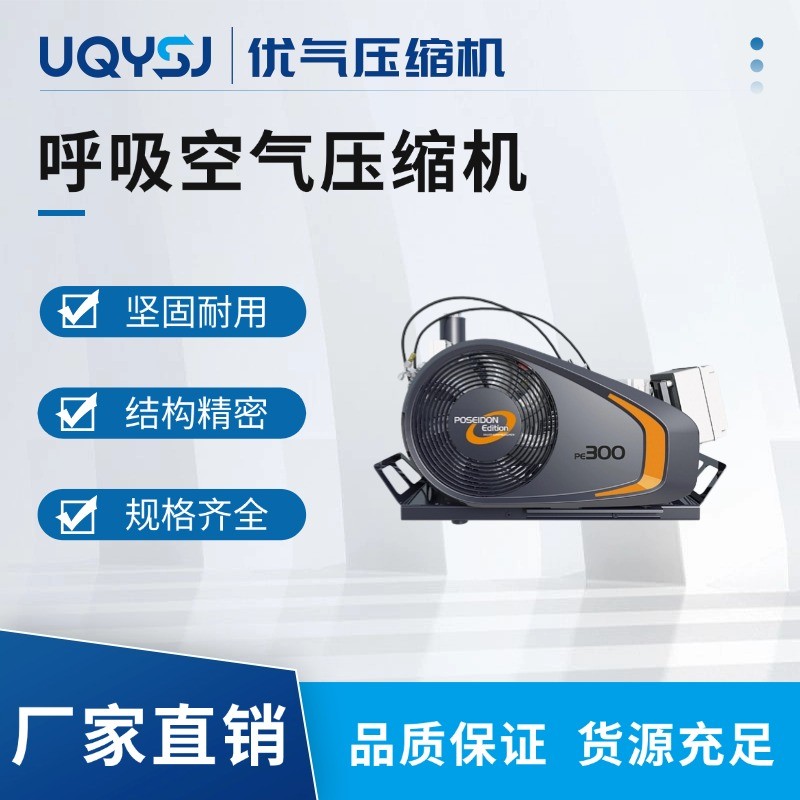 BAUER德国宝华呼吸空气压缩机PE-TB空气呼吸器充气泵